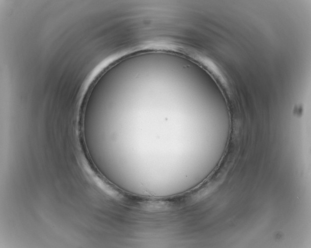 X0000092081331200709121058