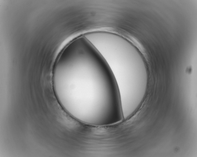 X0000092081332200709121058