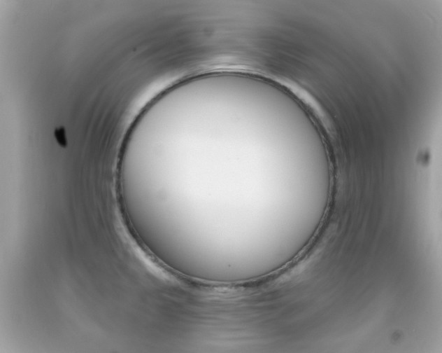 X0000092081333200709121058
