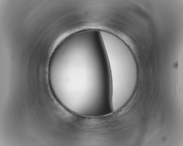 X0000092081334200709121058