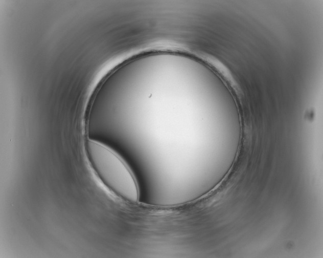 X0000092081335200709121058