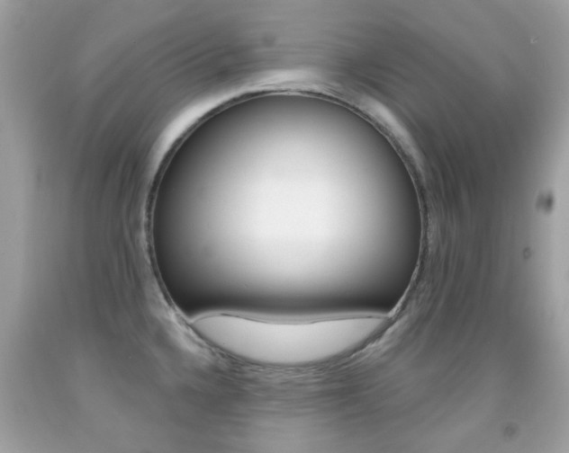 X0000092081336200709121058