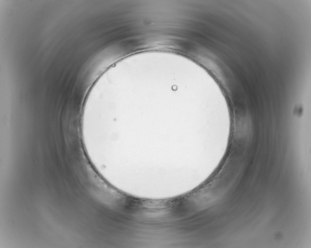 X0000092081338200709121058