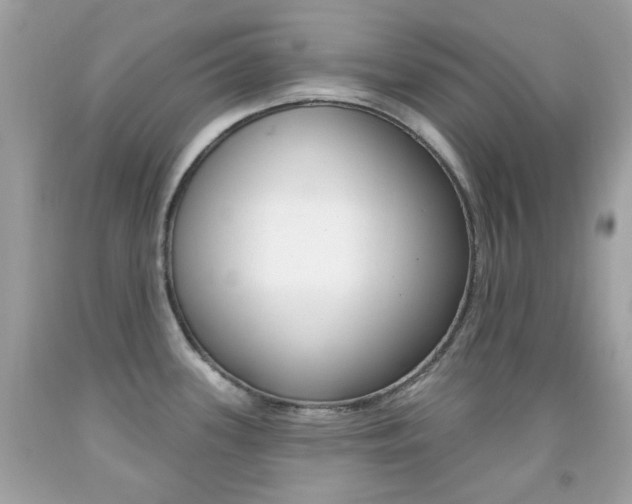 X0000092081339200709121058
