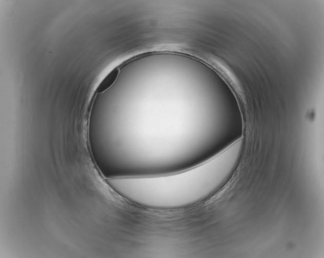 X0000092081340200709121058