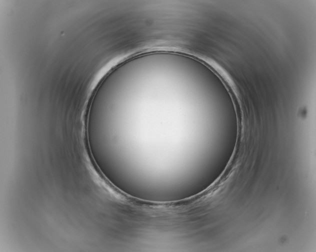 X0000092081341200709121058
