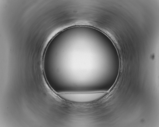 X0000092081342200709121058