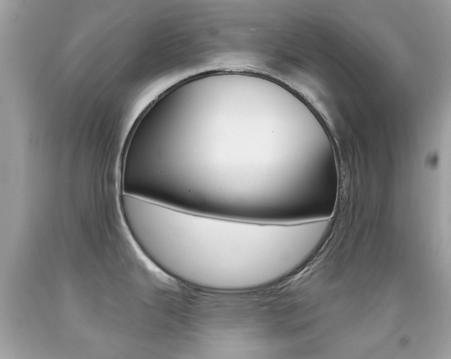 X0000092081343200709121058