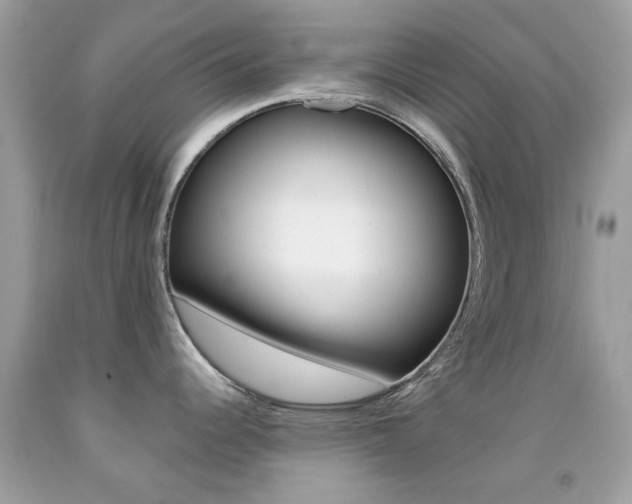 X0000092081344200709121058