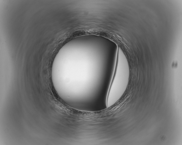 X0000092081345200709121057