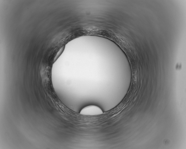 X0000092081346200709121057