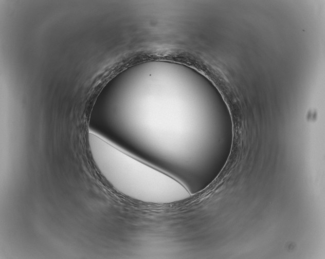 X0000092081349200709121057
