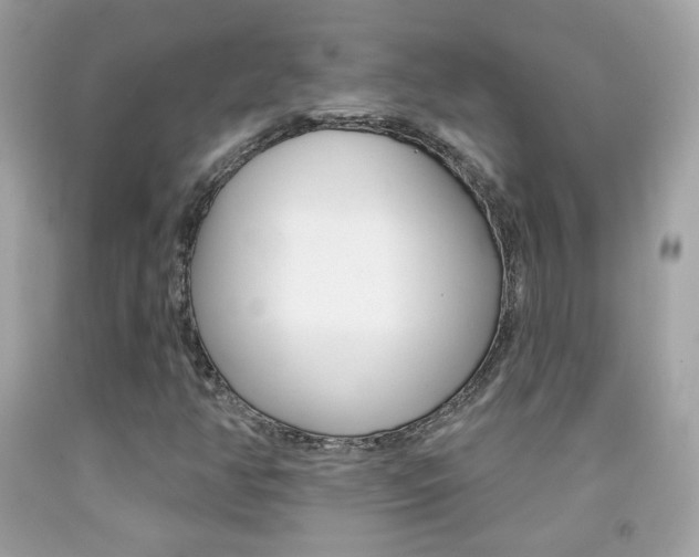 X0000092081350200709121057