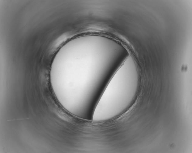 X0000092081355200709121057