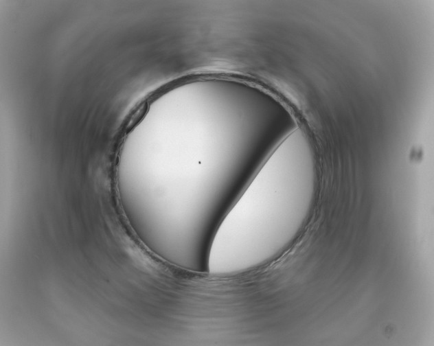 X0000092081356200709121057