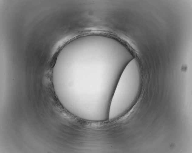 X0000092081357200709121057