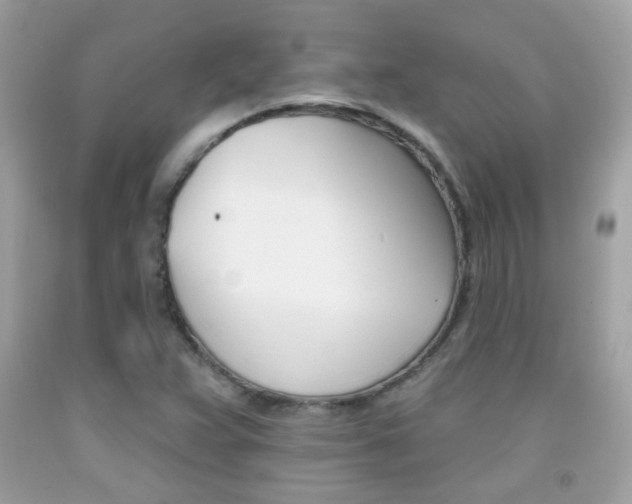 X0000092081359200709121057