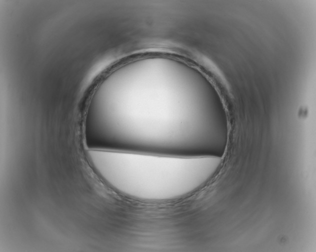 X0000092081360200709121057