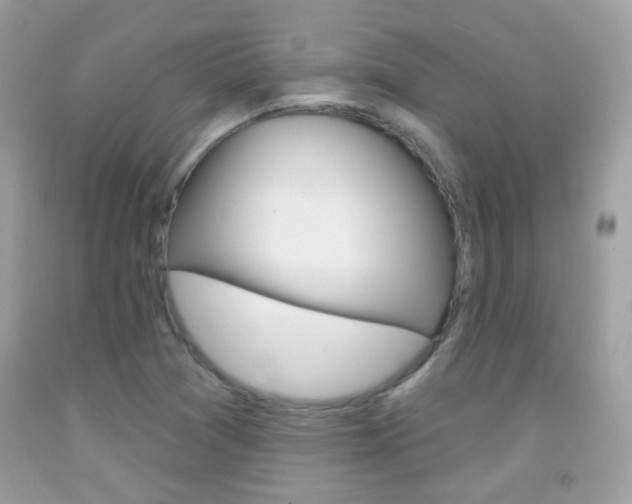 X0000092081361200709121057