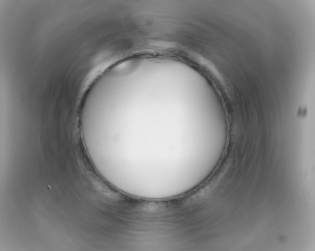X0000092081362200709121057