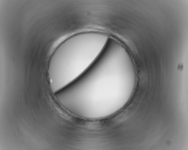 X0000092081363200709121057