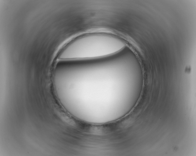 X0000092081364200709121057