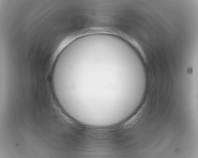 X0000092081365200709121057