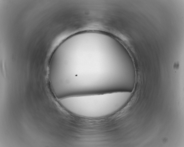 X0000092081366200709121057