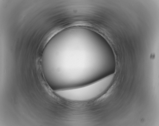 X0000092081369200709121057