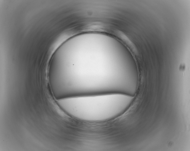 X0000092081370200709121057