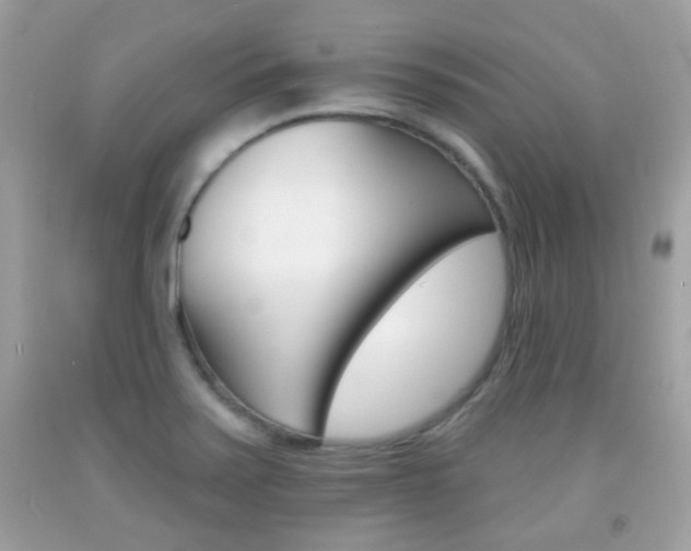 X0000092081371200709121057