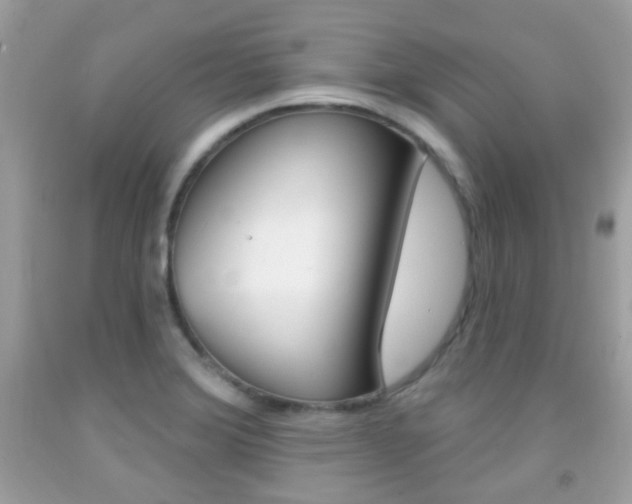 X0000092081372200709121057