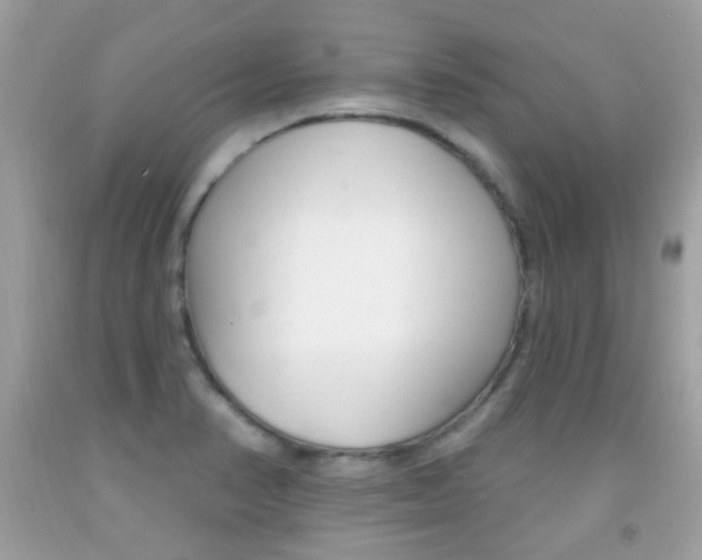 X0000092081374200709121057
