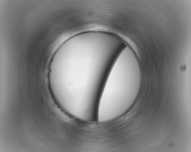 X0000092081375200709121057