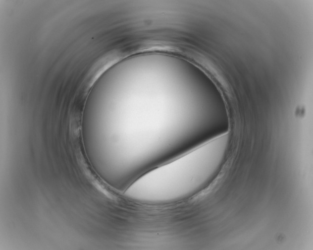 X0000092081377200709121057