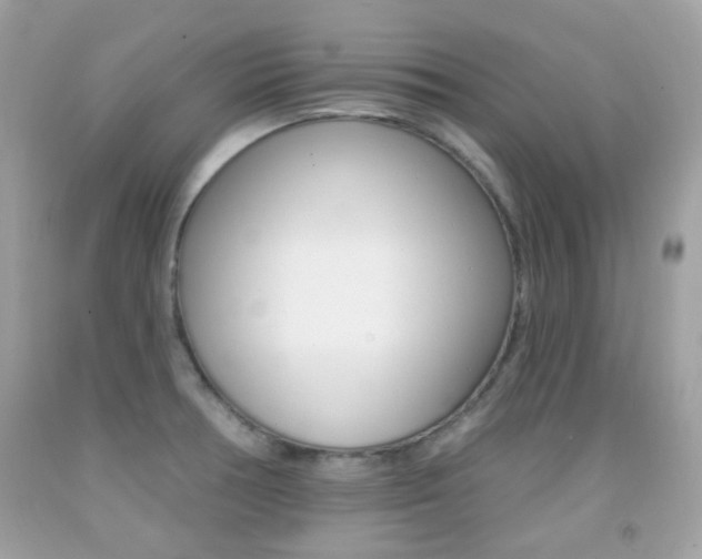 X0000092081378200709121057