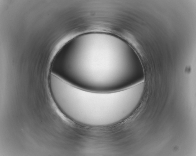 X0000092081379200709121057