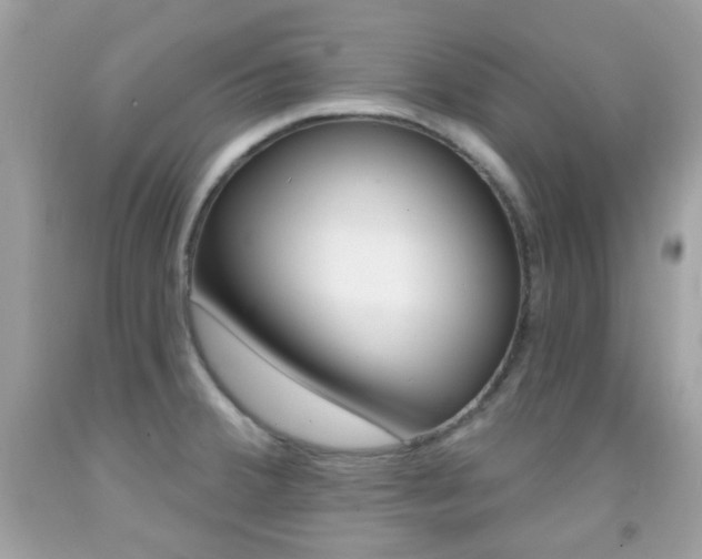X0000092081380200709121057