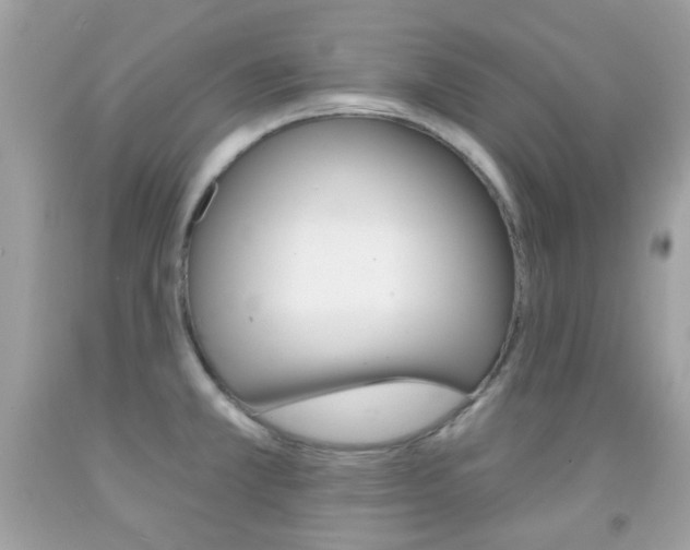 X0000092081381200709121057