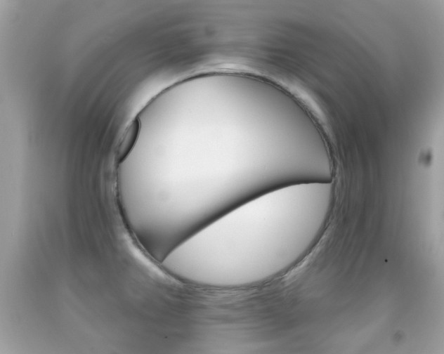 X0000092081382200709121057