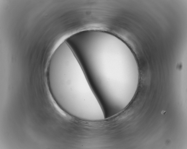 X0000092081383200709121057