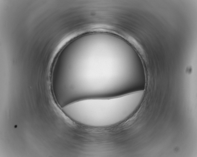 X0000092081384200709121057