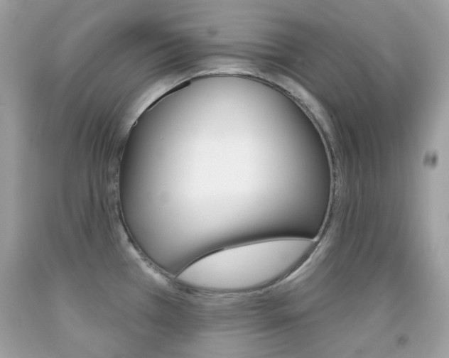 X0000092081385200709121057