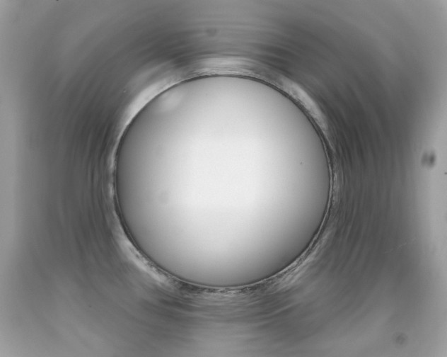 X0000092081386200709121057