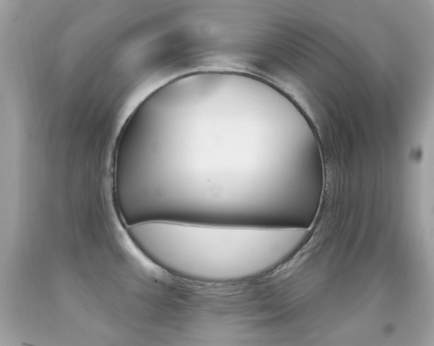 X0000092081387200709121057