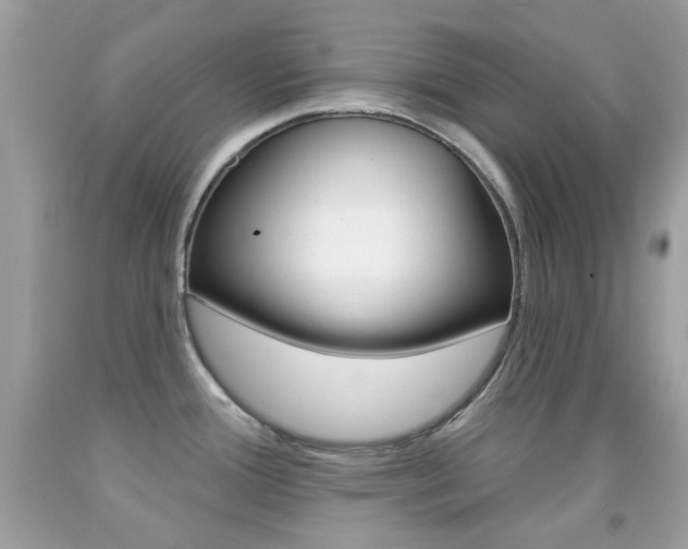 X0000092081388200709121057