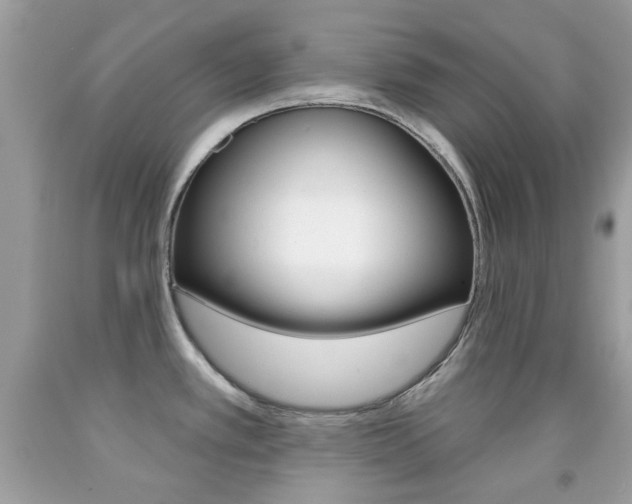 X0000092081389200709121057