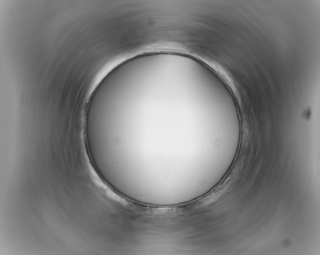 X0000092081390200709121057