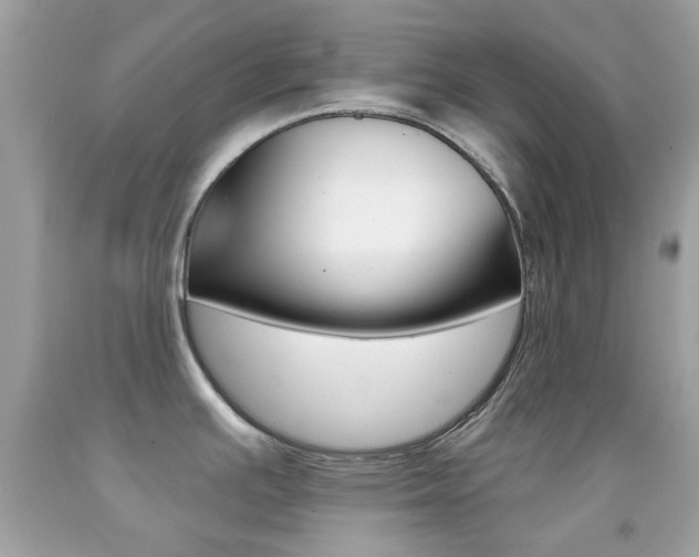 X0000092081391200709121057