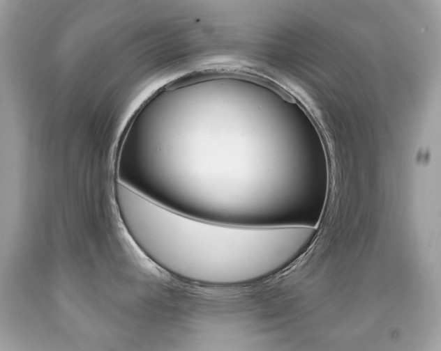 X0000092081392200709121057